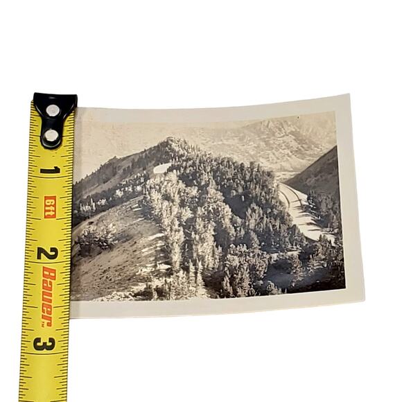 Vtg B&W Photo Found 1940 Yellowstone Park Road Tree Mountain Top View Snapshot - Picture 3 of 4
